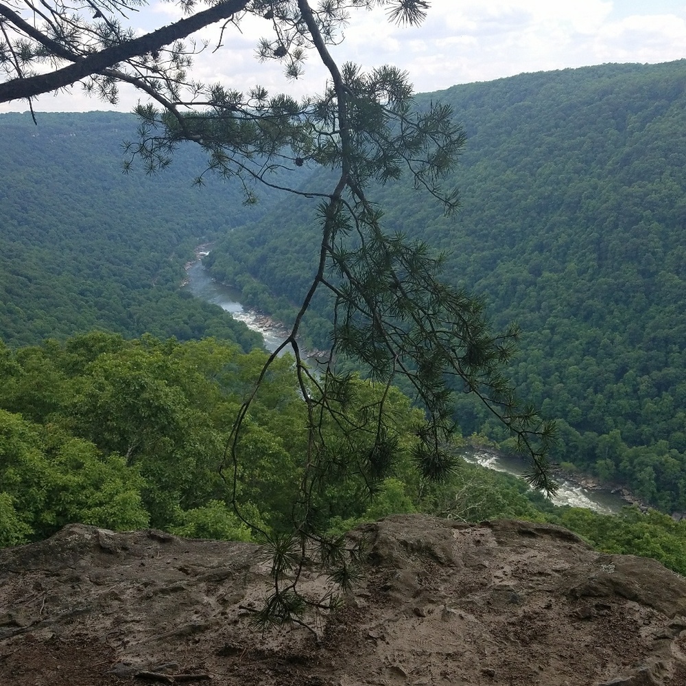 Meet your Posher, Adrienne