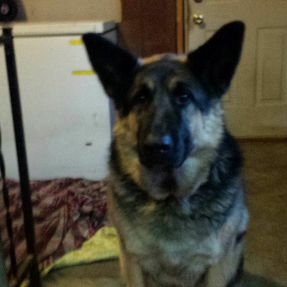 Meet your Posher, Cindy