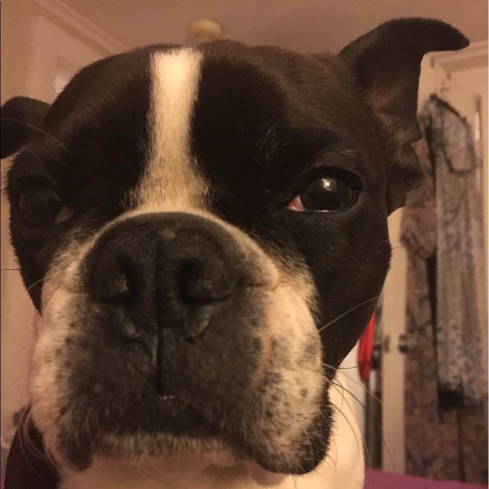 Meet your Posher, Kathryb