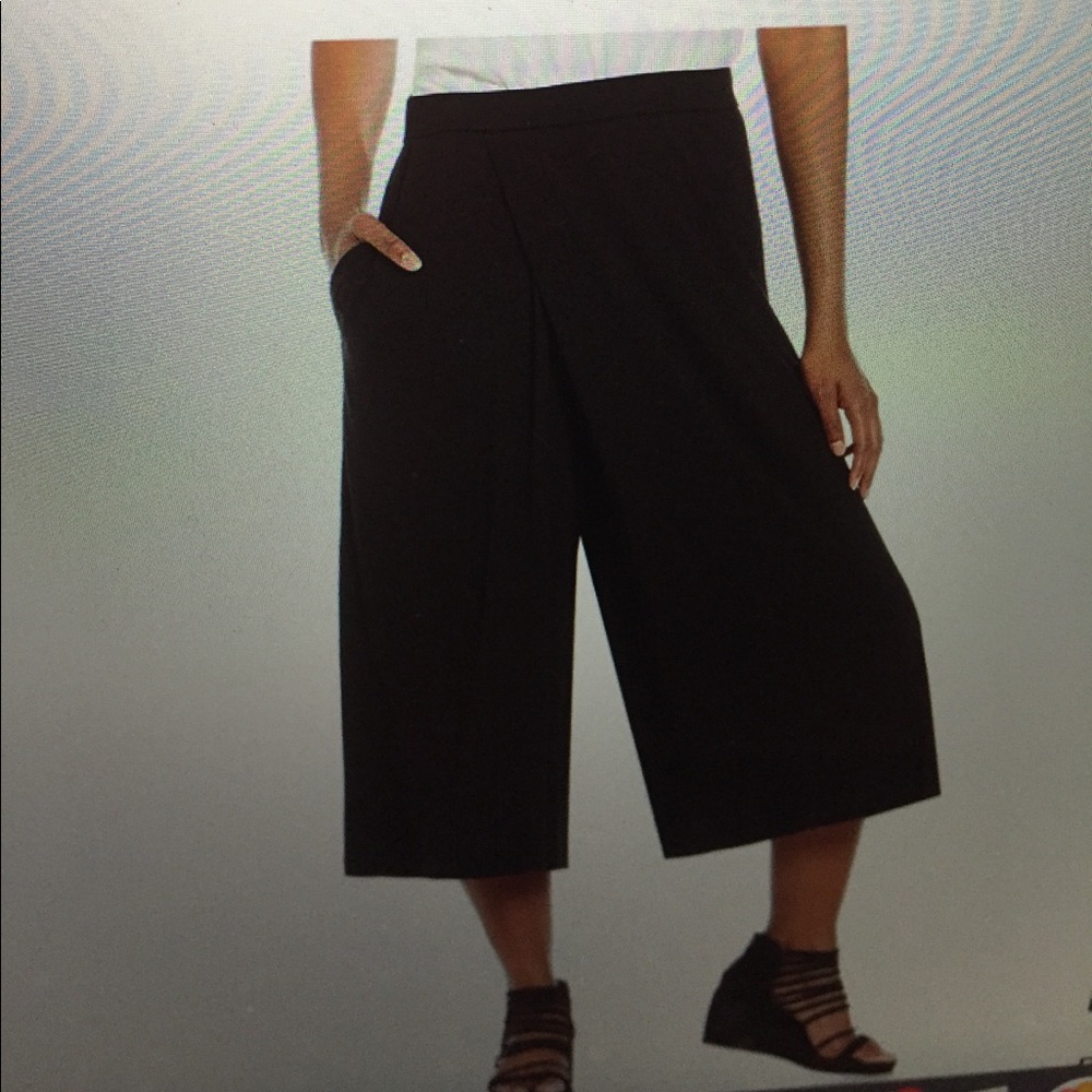 NWT , Pleated Georgette wide leg Cropped Pants