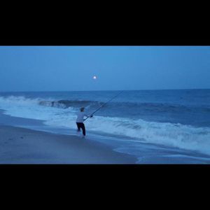 Meet your Posher, Kyle