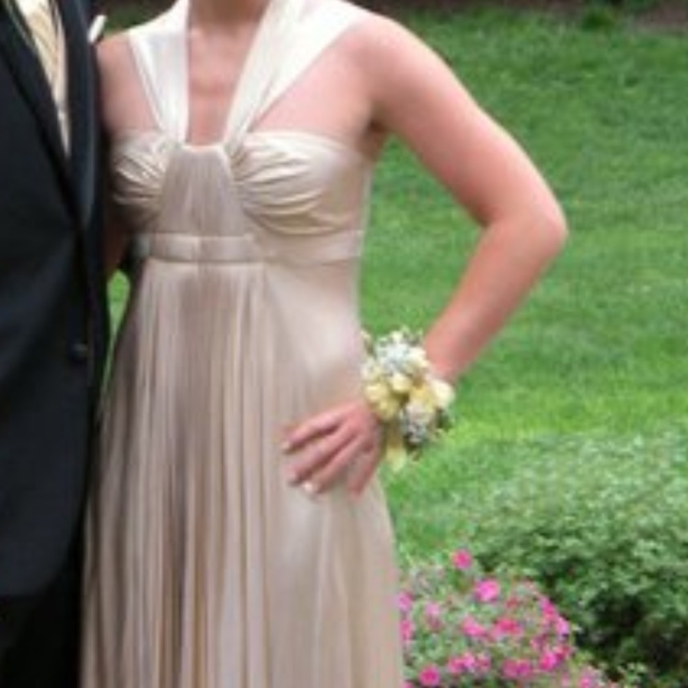 BCBG PLEATED GOWN