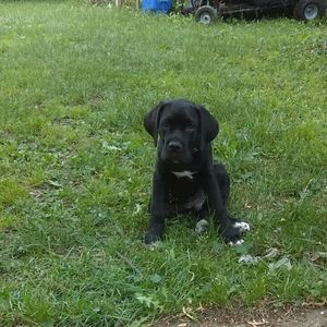 Meet your Posher, Dashawn