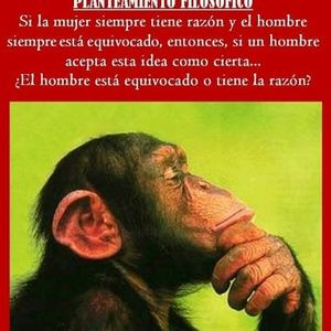 Meet your Posher, Mireya