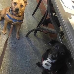 Meet your Posher, Sami