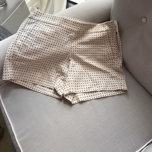 J Crew ivory with Navy Polka Dot 5" shorts