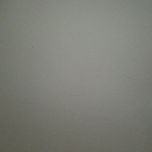 Meet your Posher, Elisha