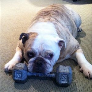 Meet your Posher, Casey