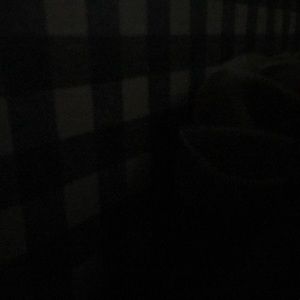 Meet your Posher, Jarod