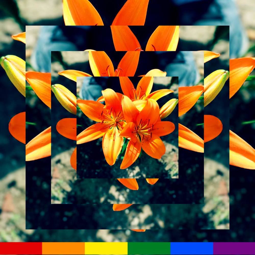 Meet your Posher, Diana