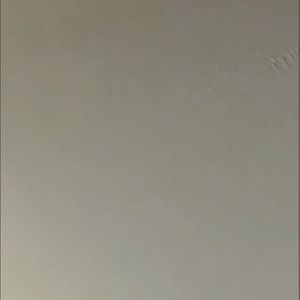 Meet your Posher, Ginger