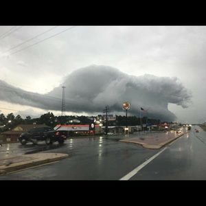 Meet your Posher, Adrian