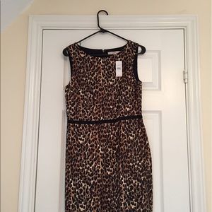 Shift dress for Ashley