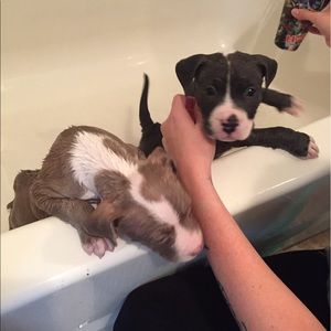 Meet your Posher, Matt