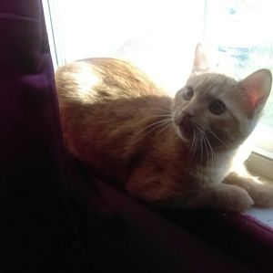 Meet your Posher, Cashay