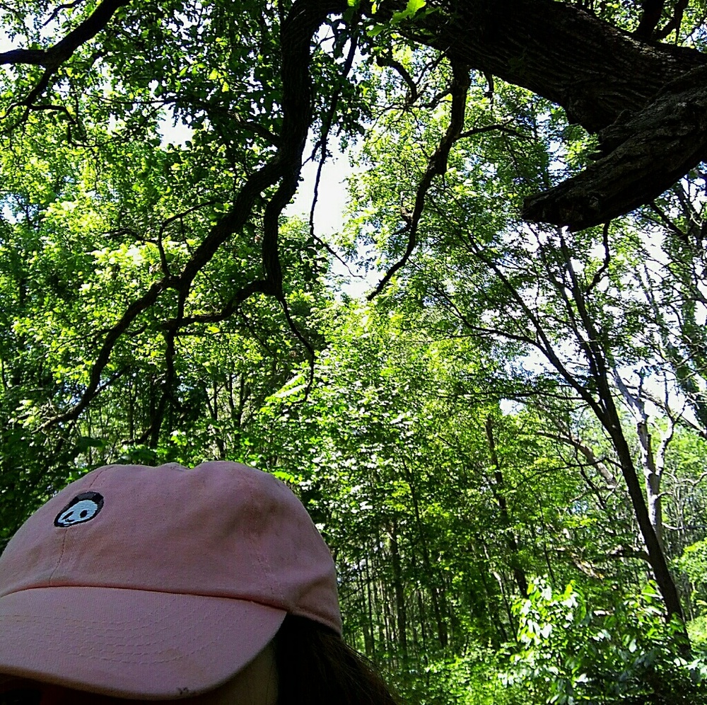 Meet your Posher, Lucinda