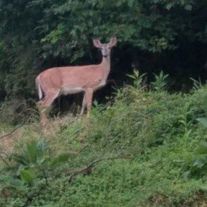 Meet your Posher, Sherry