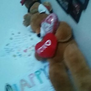 Meet your Posher, Norma