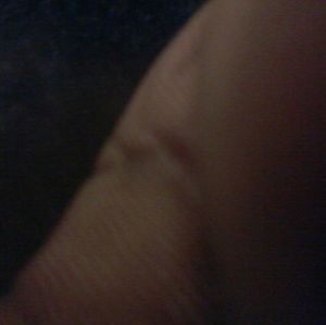 Meet your Posher, Tony