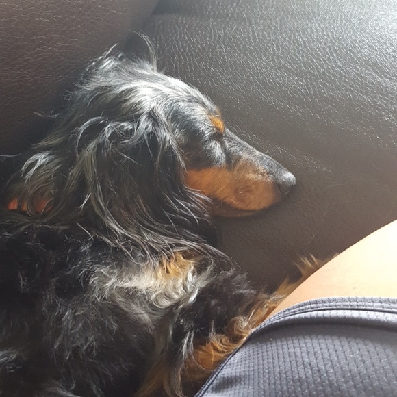 Meet your Posher, Wendy - Picture 1 of 1