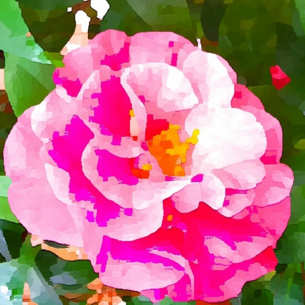 Meet your Posher, Deborah