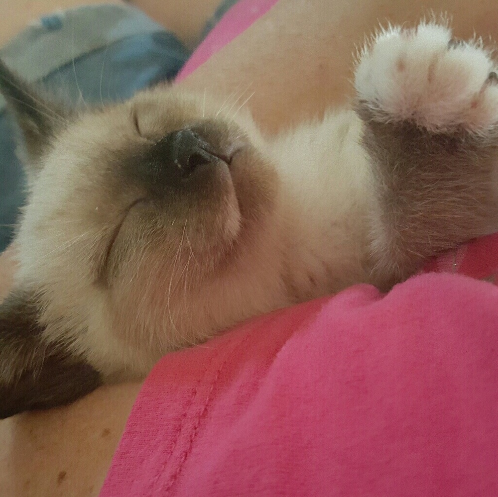 Meet your Posher, Cristal