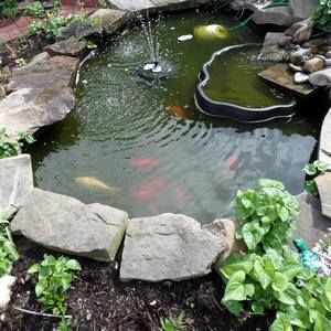 Meet your Posher, Dorothy