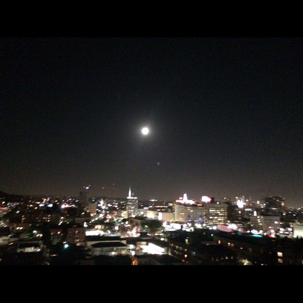 Meet your Posher, Edith