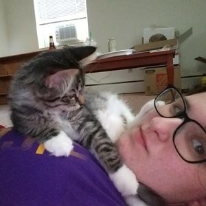 Meet your Posher, Ashley