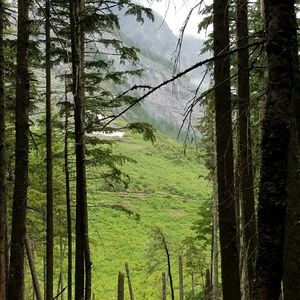 Meet your Posher, Kari