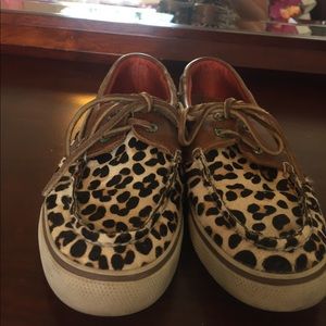 Sperry cheetah top-sider