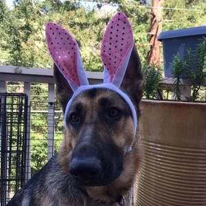 Meet your Posher, Kimberly