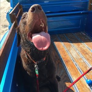 Meet your Posher, Drew