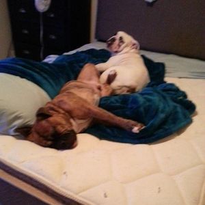 Meet your Posher, Caleb