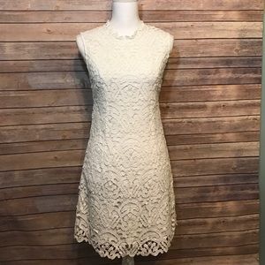 White lace Dolce Vita dress
