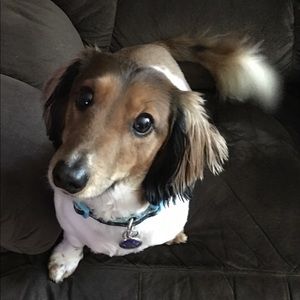 Meet your Posher, Debbie