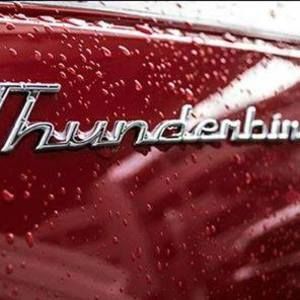 Meet your Posher, Peggy