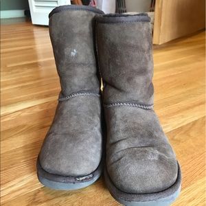Chocolate Brown Short UGGs Size 7