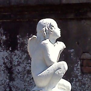 Meet your Posher, Elvis