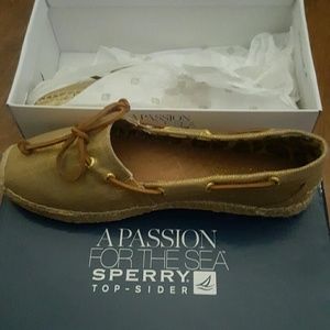 Sperry top-sider