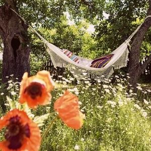 Meet your Posher, Elena