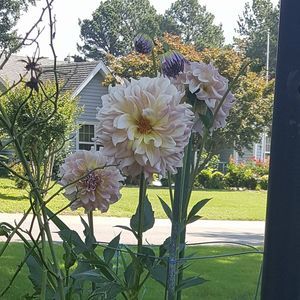 Meet your Posher, Ennauhr