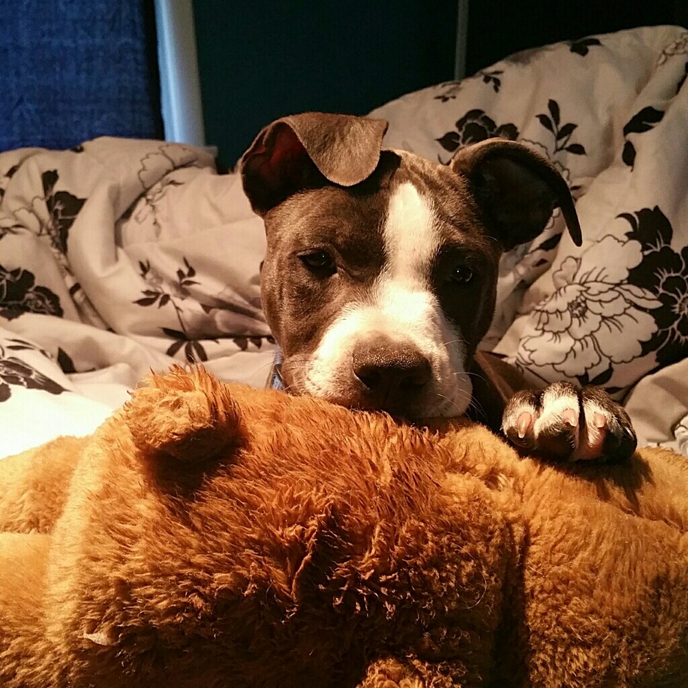 Meet your Posher, Hayley