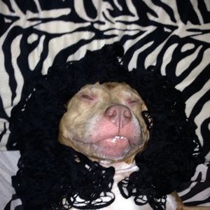 Meet your Posher, Carly