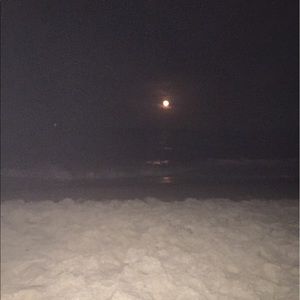 Meet your Posher, Wyatt