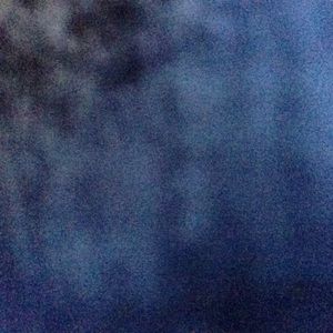 Meet your Posher, Tyra