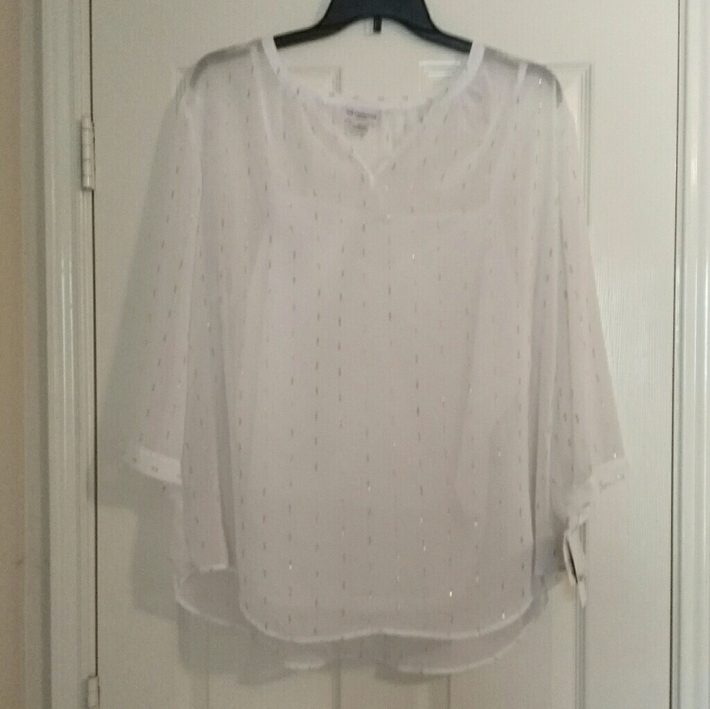 🎈LAST CHANCE🎈 White Gold Sheer Blouse