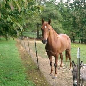 Meet your Posher, Peggy