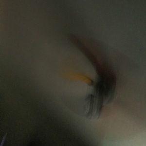 Meet your Posher, Aaron