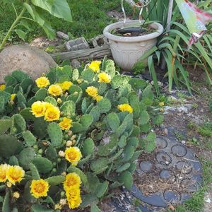 Meet your Posher, Cathy